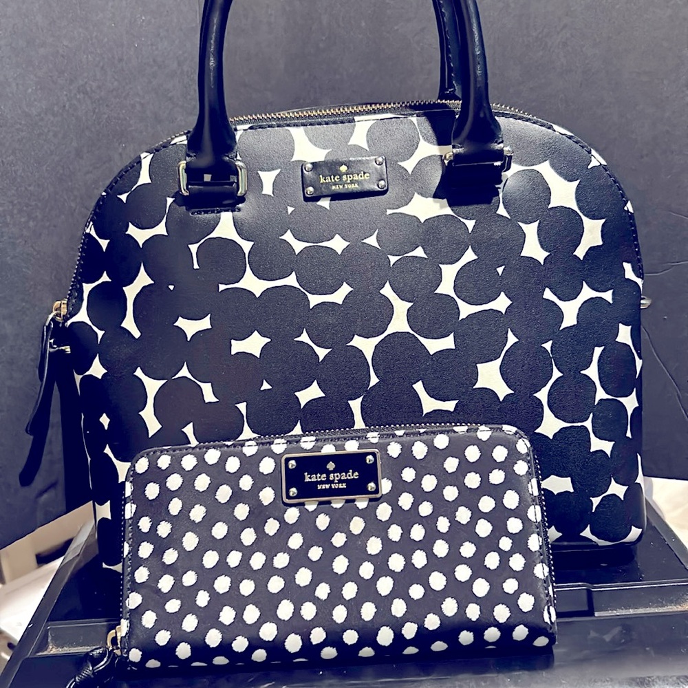 Kate Spade Satchel & Wallet likenew Free Twilly,Earrings,Necklace & Heart Mirror